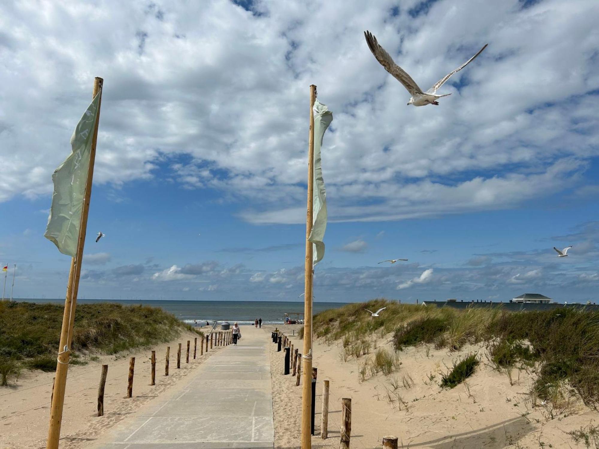 Holiday Home Plevier Comfort-2 By Interhome Noordwijk Bagian luar foto